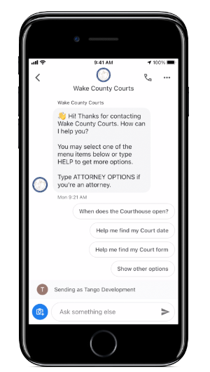 Chatbots for Courts